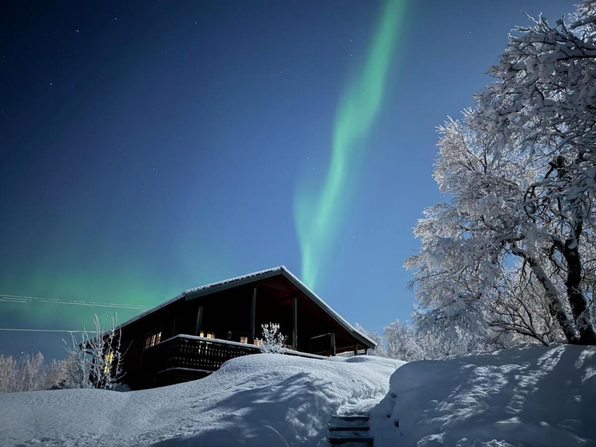 Trivelig Hytte I Senja. Экстерьер фото