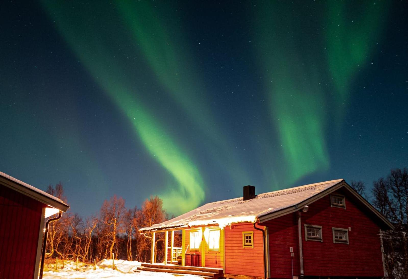Trivelig Hytte I Senja. Экстерьер фото
