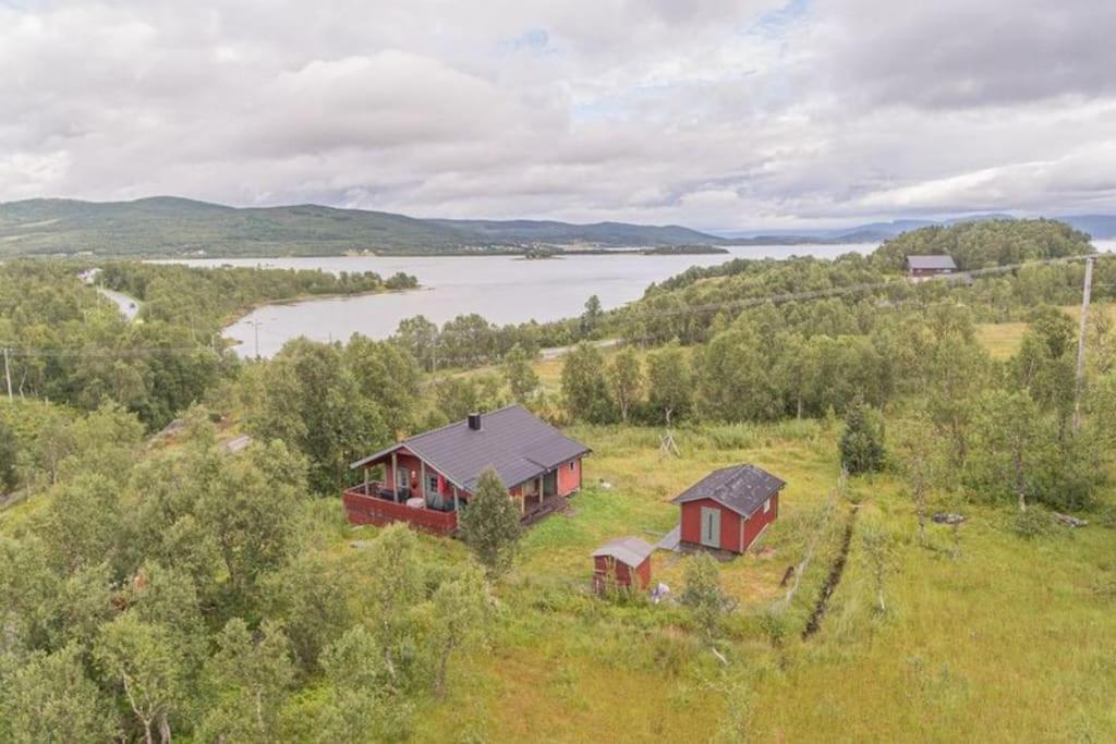 Trivelig Hytte I Senja. Экстерьер фото